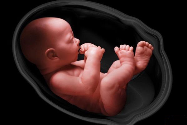 سقط جنین ناقص